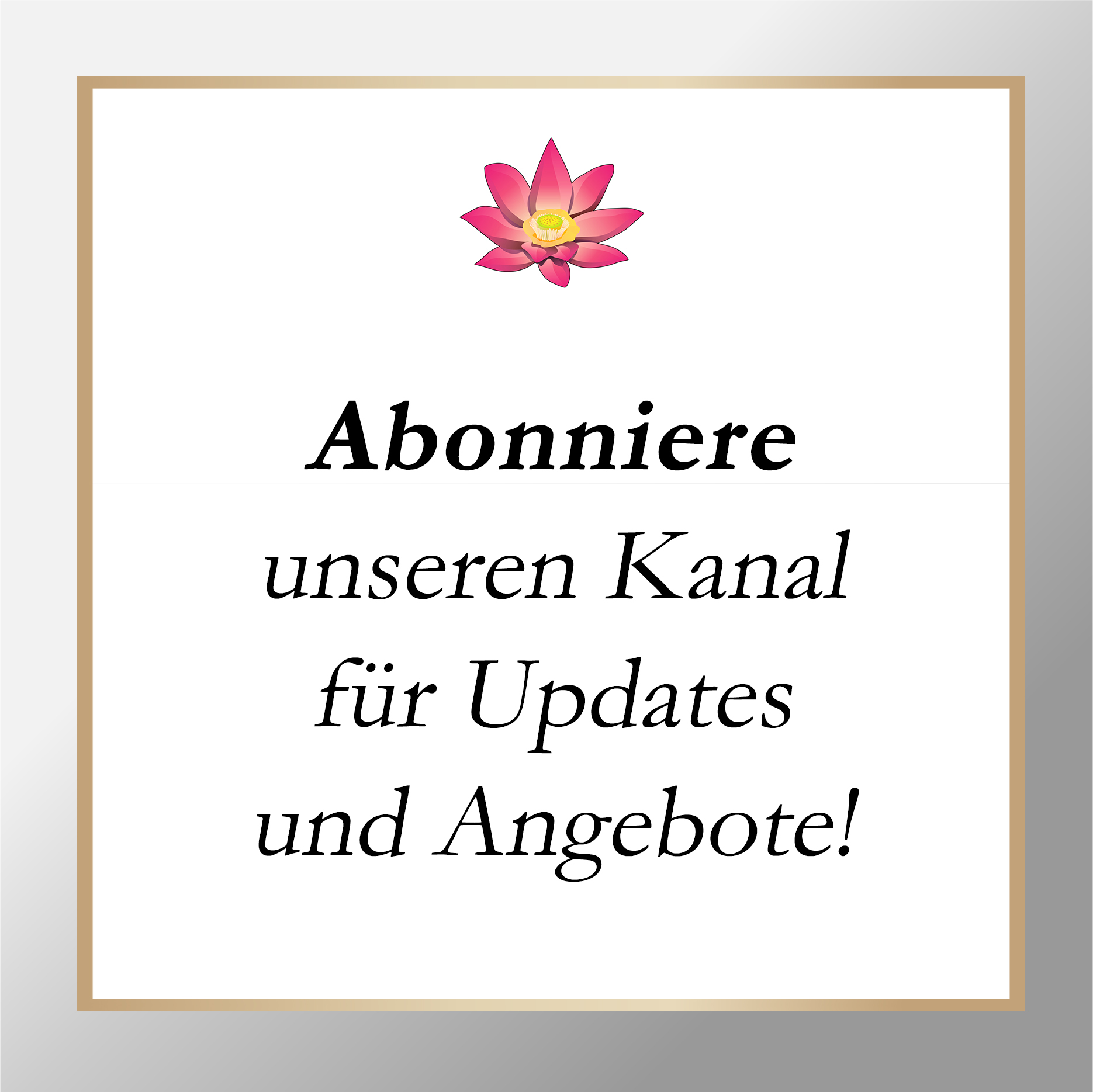 Instagram Kanal
